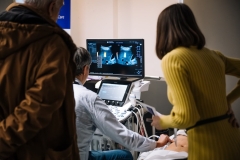 Image-Alex-Dmitrovic-0052