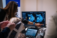 Image-Alex-Dmitrovic-0062