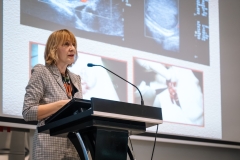 Image-Alex-Dmitrovic-0063