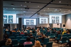 Image-Alex-Dmitrovic-0205