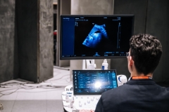 Image-Alex-Dmitrovic-0234