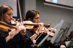 Image-Alex-Dmitrovic-0265