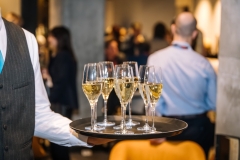 Image-Alex-Dmitrovic-0296