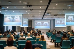 Image-Alex-Dmitrovic-0310