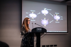 Image-Alex-Dmitrovic-0317