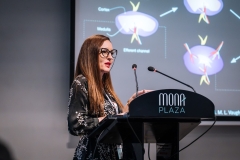 Image-Alex-Dmitrovic-0318